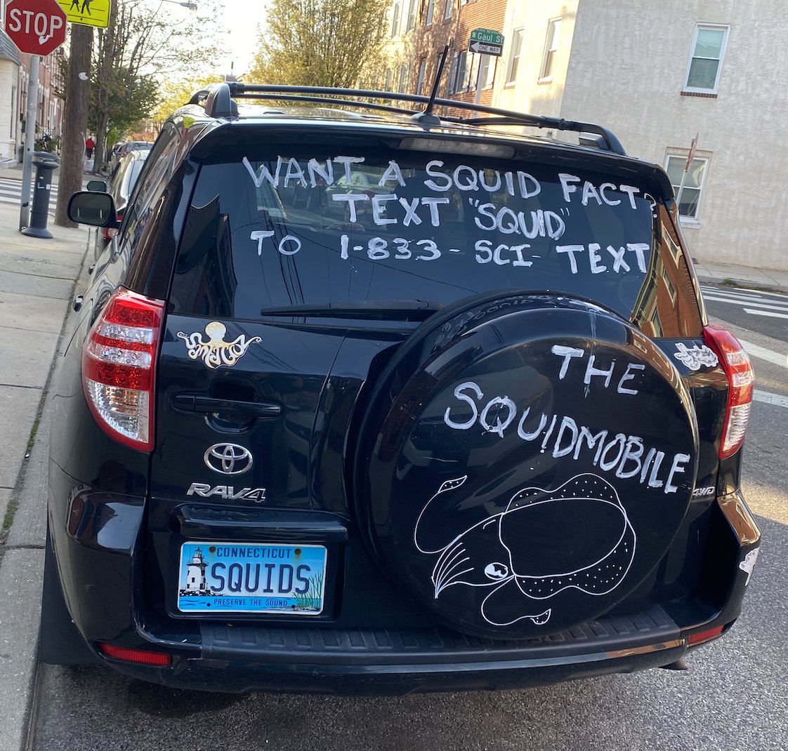 39,260 people have texted the squid facts hotline. That's a LOT of people. For context, that's 1500 more than the number of seats at Fenway Park.

I'm currently writing up a blog post all about the process of developing the squid facts hotline- I'll post it here when I'm done!