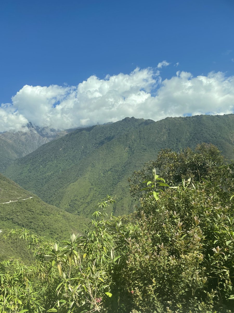 R_LinaresP's tweet photo. Ready for our 5th #Biodiversity #Monitoring expedition in the Machiguenga Comunal Reserve. Arrived safely in Cusco 🇵🇪, onwards to #Quillabamba for a meeting with @SERNANP & now in #Kiteni ready for 2 weeks studying #aquatic & #terrestrial montane #forest organisms #Peru_BMAP https://t.co/ZnJ25vxCXU