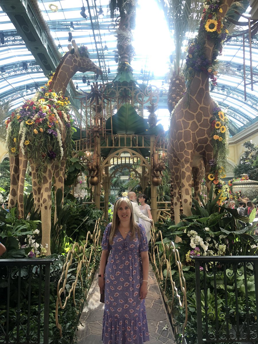 Wendy_V_C_82's tweet photo. The @bellagio Conservatory summer display ‘Jungle of Dreams’ - soooo pretty 😍🦒🌸🦁🌼🦩🌺🦓🌿 I love the lions 🥰 The work that goes into this is just amazing 💗
#Bellagio #BellagioConservatory #Vegas #LasVegas #Nevada https://t.co/xYWVthxzmx