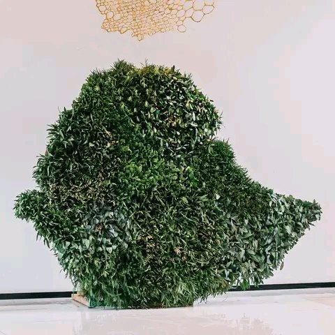 Exoticethiopian's tweet image. Are you ready participating for the upcoming Green Legacy activities?
#Greenlegacy
#EthiopiaPrevails
#UnityIsOurStrength 
#UnityForEthiopia 
@AbiyAhmedAli  @AdanechAbiebie @iyoba4u @BilleneSeyoum @PMEthiopia @MFAEthFrench