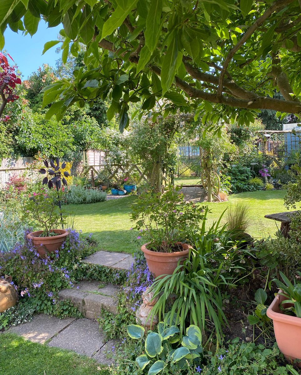 Treeborker's tweet image. My mums awesome garden @innocent #wildormild