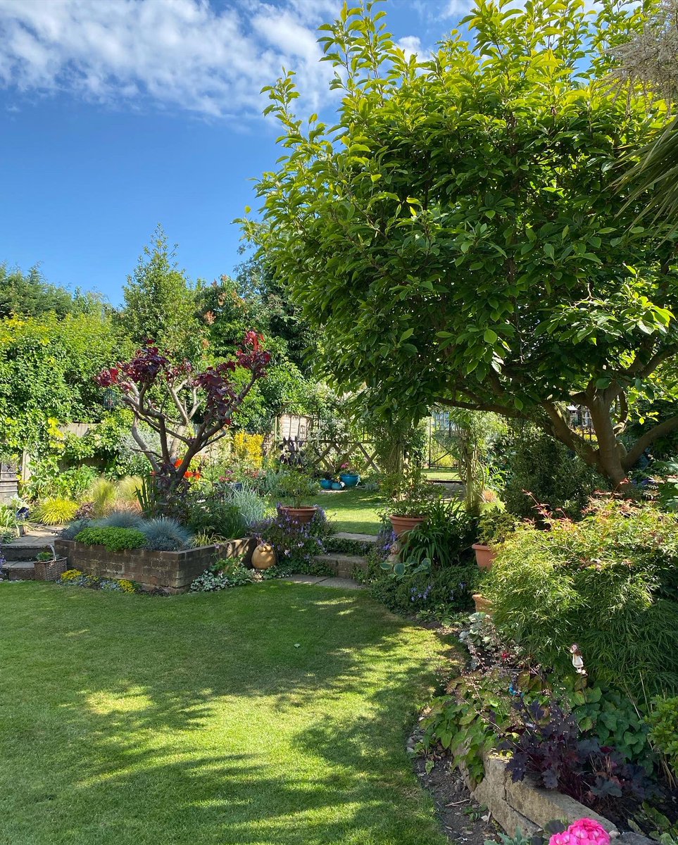 Treeborker's tweet image. My mums awesome garden @innocent #wildormild