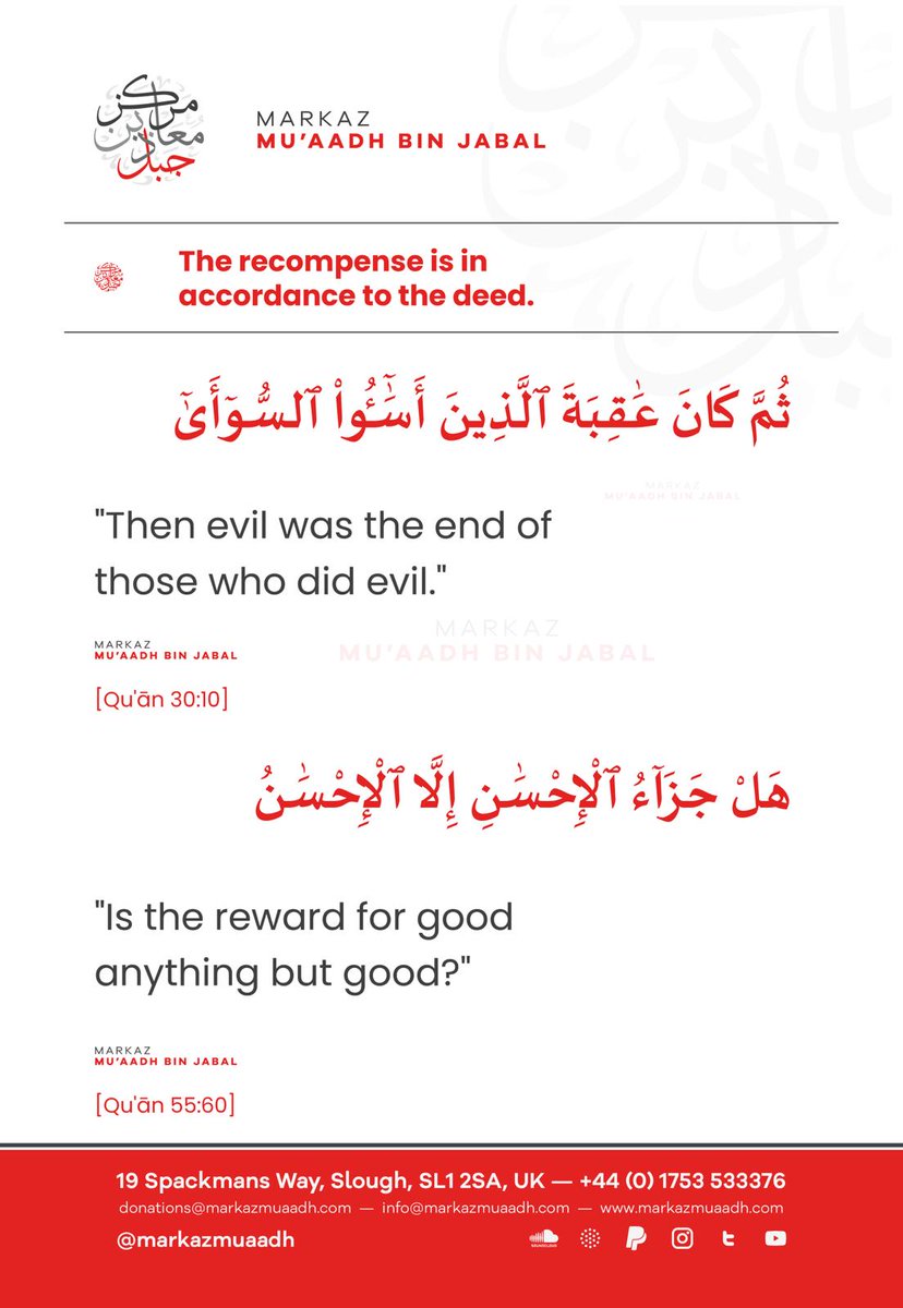 MarkazMuaadh's tweet photo. You reap what you sow... https://t.co/8eyx1ypQzR