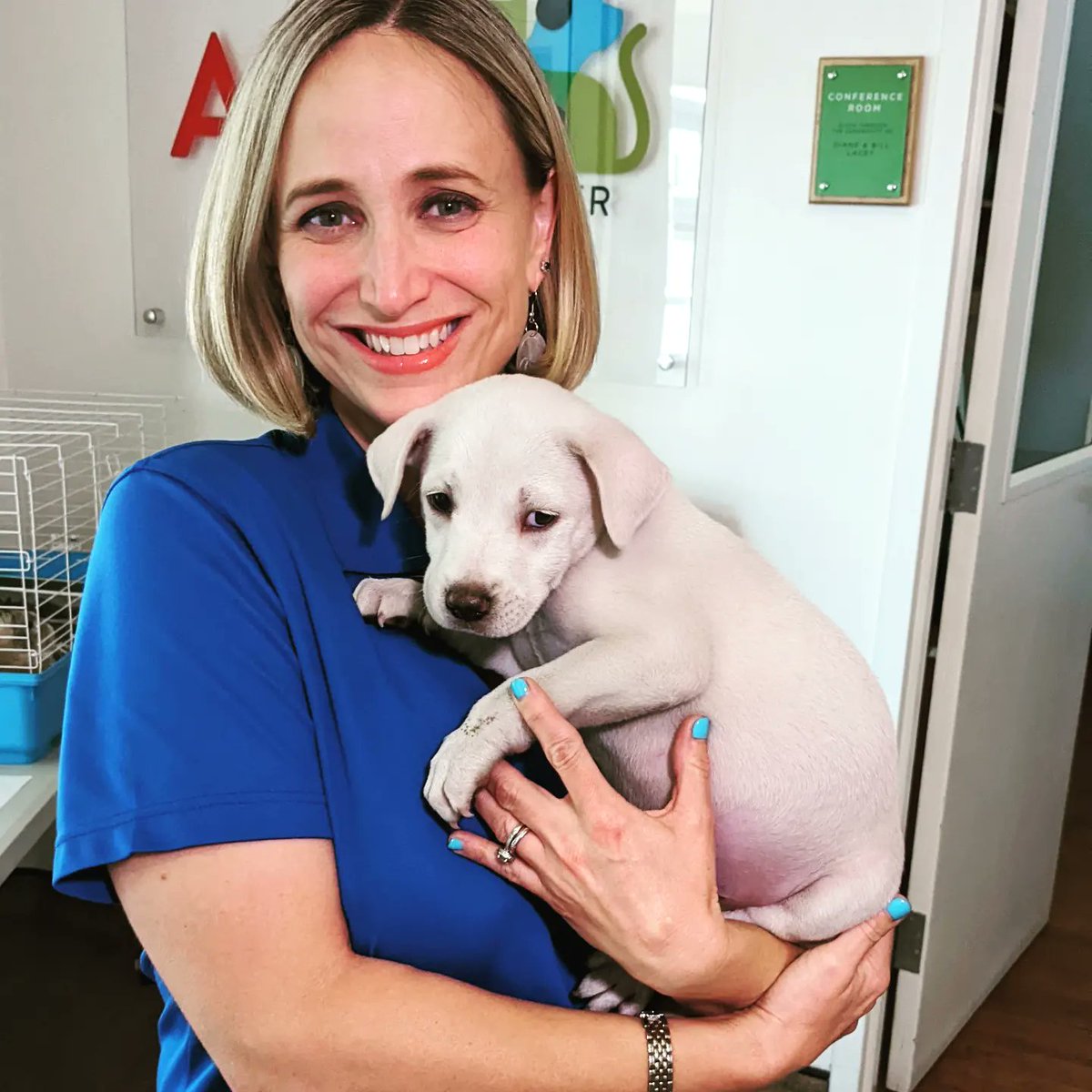 AngWxGrl's tweet image. Today was a &quot;ruff &quot; day. Meet Confetti and Fidget, both available for adoption at the @APAofMO.🐾🐶🥰 #AdoptDontShop #adoptablepets  #stlpets @FOX2now