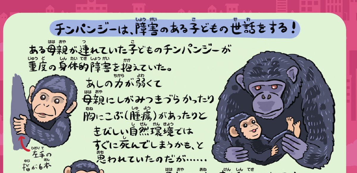 おさかなチンパンジーです。 TEAM お魚チンパンジー (@TEAMOSACHIN) / Posts / X