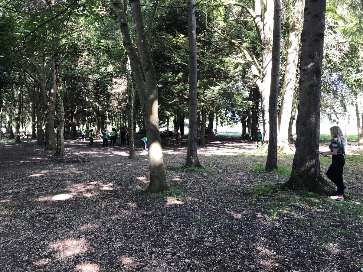 @brittanihislop tweet media