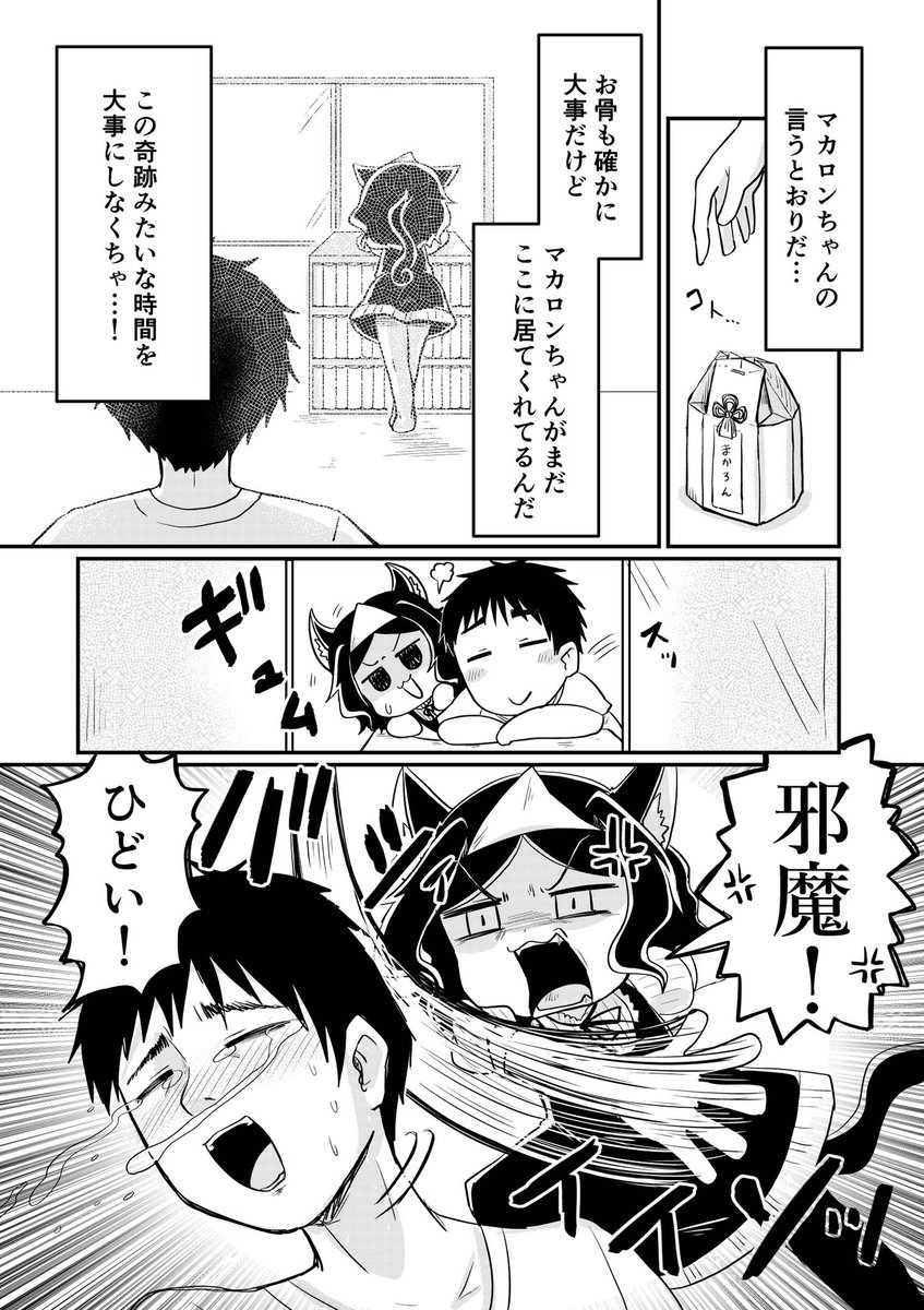 (再)愛猫が幽霊になったらめっちゃしゃべるしすぐ物を落とす
#創作漫画
#漫画が読めるハッシュタグ