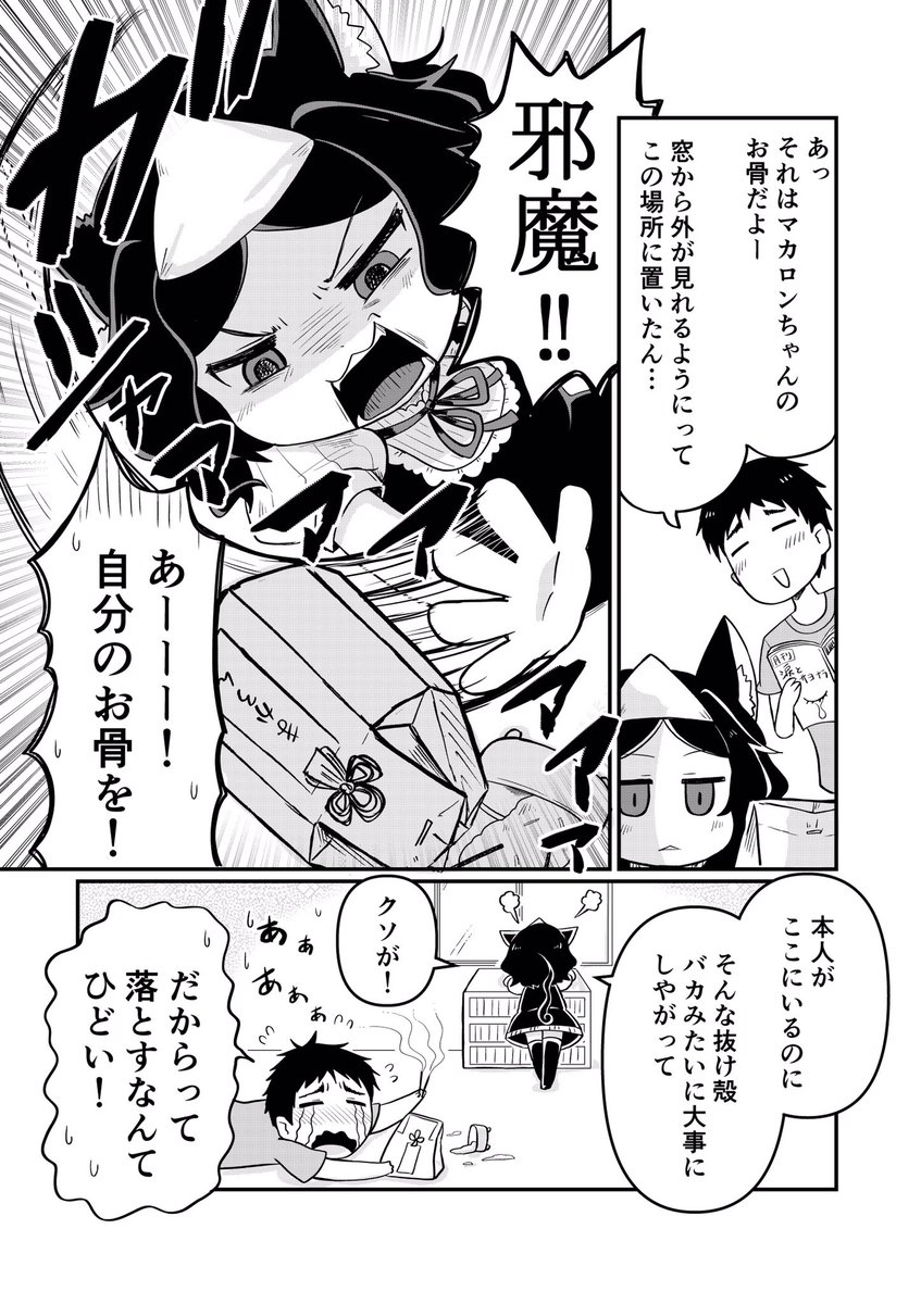 (再)愛猫が幽霊になったらめっちゃしゃべるしすぐ物を落とす
#創作漫画
#漫画が読めるハッシュタグ