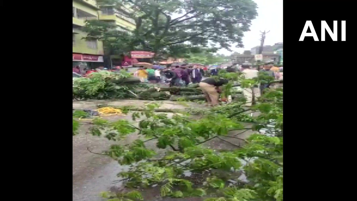 Assam | After a tree fell upon an auto-rickshaw near Karimganj fire services sta…