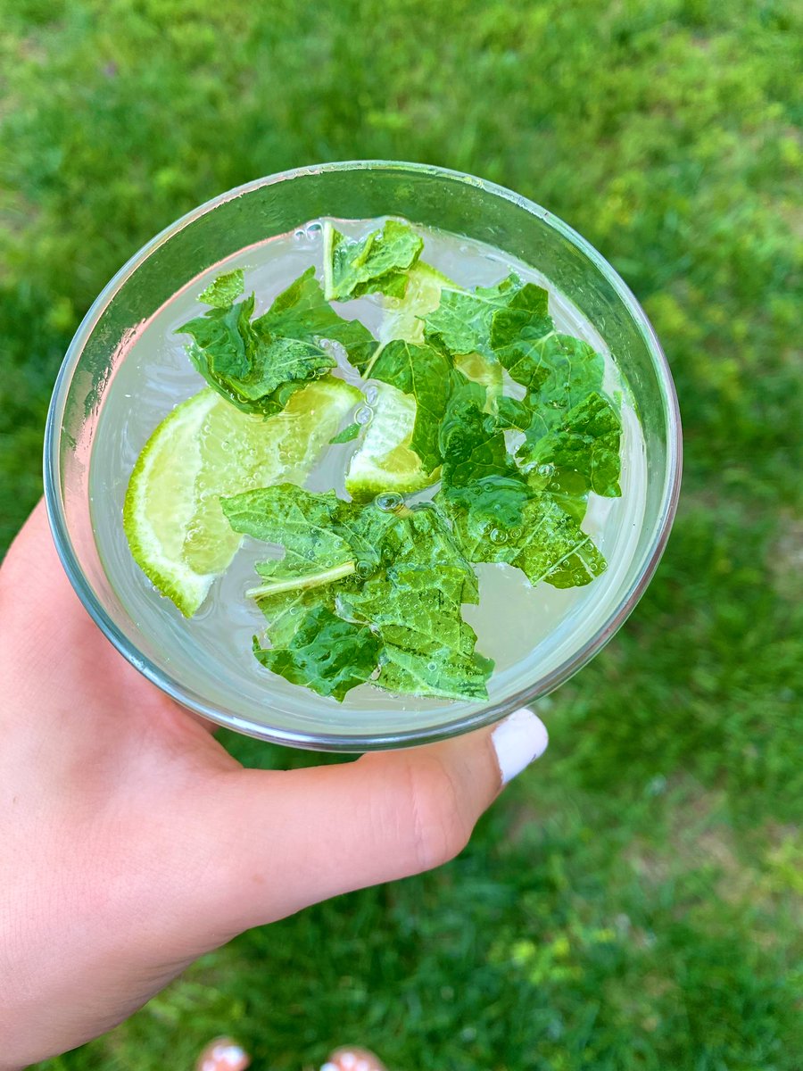 allieeedanielle's tweet photo. for all my sober friends that still want a fun summer drink, these are sooo good! https://t.co/pDw8PIAIvg