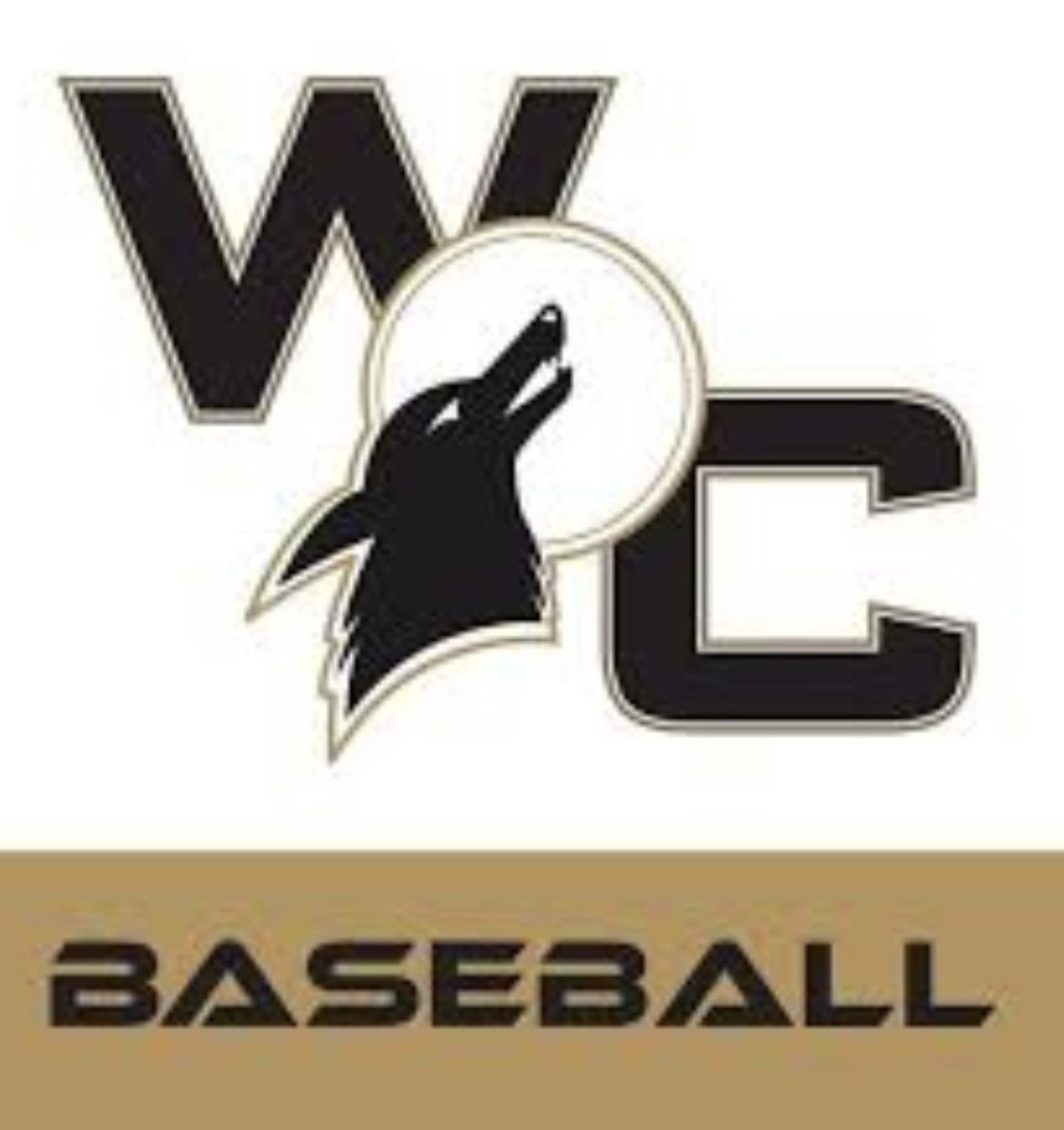 DrueSaenz33's tweet image. I’m happy to say I have commited to play baseball at weatherford juco #Committed @JudKinzy @ChadPittman12 @CCraw11 @ShadowSaenz @jojo_15233 @ELK_Baseball