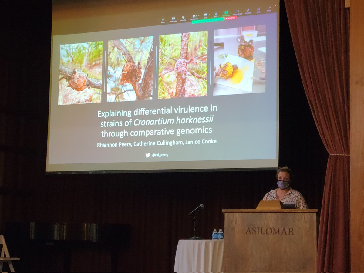 catcullingham's tweet photo. @rhi_peery finishing up the talks today at #NAFGS talking about western gall rust lineages and their interaction with their pine hosts. https://t.co/04M91mqcPw