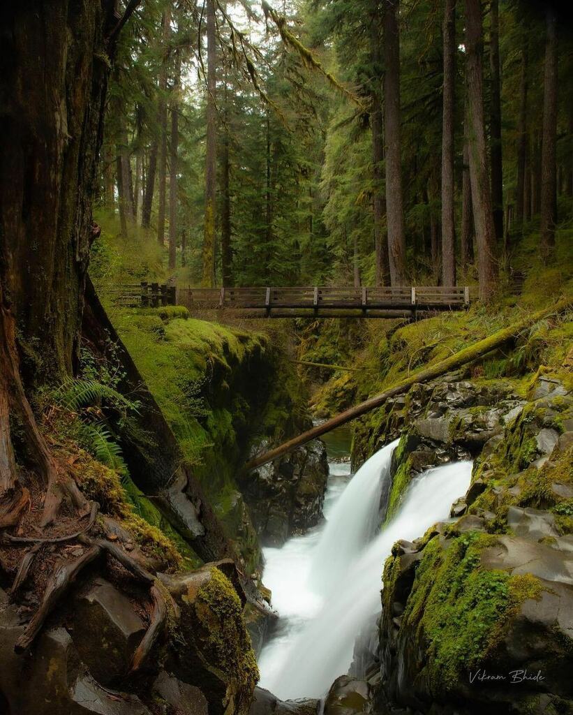 Spending #WaterfallWednesday at #SolDucFalls with @vikrambhide_photo ✌️

#VisitPortAngeles #OlympicNationalPark instagr.am/p/Ce2aKdaLUTi/