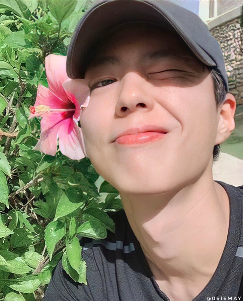 BOGUMMYoppaa's tweet photo. Happy Birthday uri @BOGUMMY 🌸

Thank you for being my comfort 💗 I love you as always and I hope to see you soon ✨

#OurSummerBOGUMday 
#여름처럼_뜨거울_박보검의_서른 https://t.co/xsRmSa5Dgy