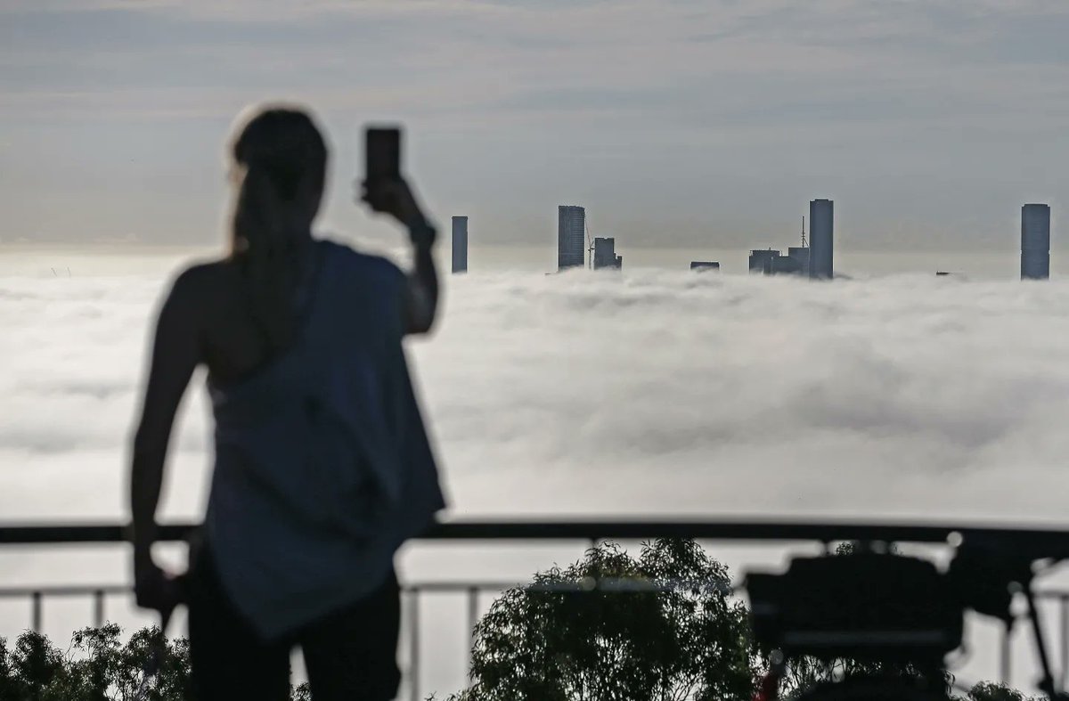 ZakSimmonds's tweet photo. Brisbane city covered in fog seen from Mount Coot-Tha Summit Lookout. Story via @couriermail https://t.co/HwpBpLvxUE https://t.co/zeoRkU6cdI