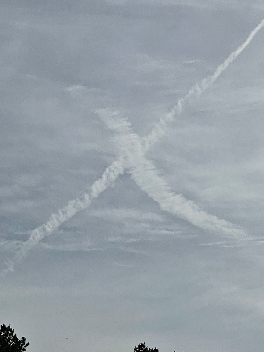 11loveGod11's tweet photo. Keep your trash out of our sky! We had big beautiful clouds in the sky, waiting to pour and these exterminators start hitting the sky. Now we have smear clouds and a gray sky. #chemtrails #EastTexas #KillingUs #LookUp #killingeverything #drought #weathercontrol #Enough https://t.co/Ejg8juUClk