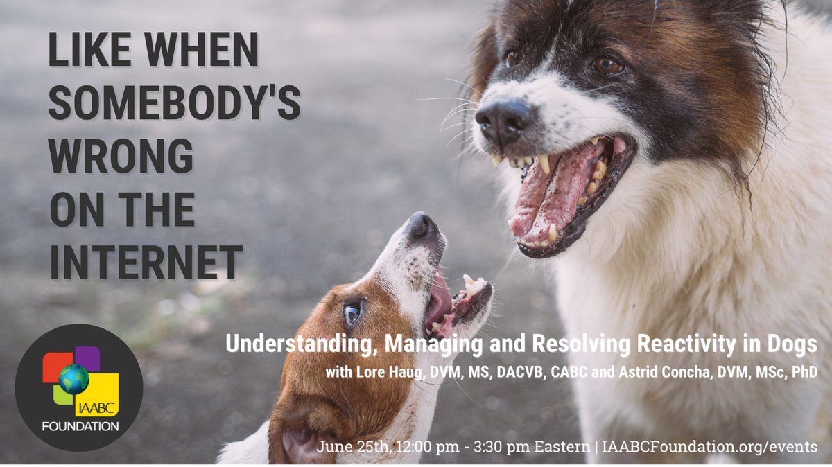 iaabc's tweet image. What is reactivity? Join Dr. Lore Haug and Dr. Astrid Concha on June 25th as they present current scientific evidence and give us new and critical ways to enhance our training and behavior modification plans. iaabcfoundation.org/events/
#DogTraining #ReactiveDog #DogBehavior