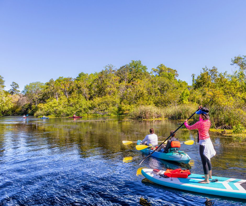 WeekiAdventures's tweet photo. Tackle one of the most popular spring-fed rivers in Florida on paddleboards and kayaks! Reserve today on our website.
#weekiwacheefl #weeki #kayak #kayaklife #kayakadventures #paddleboard #paddleboarding #paddleboardlife #kayakflorida #paddleboardflorida #exploreflorida https://t.co/ykcNsCSCR0