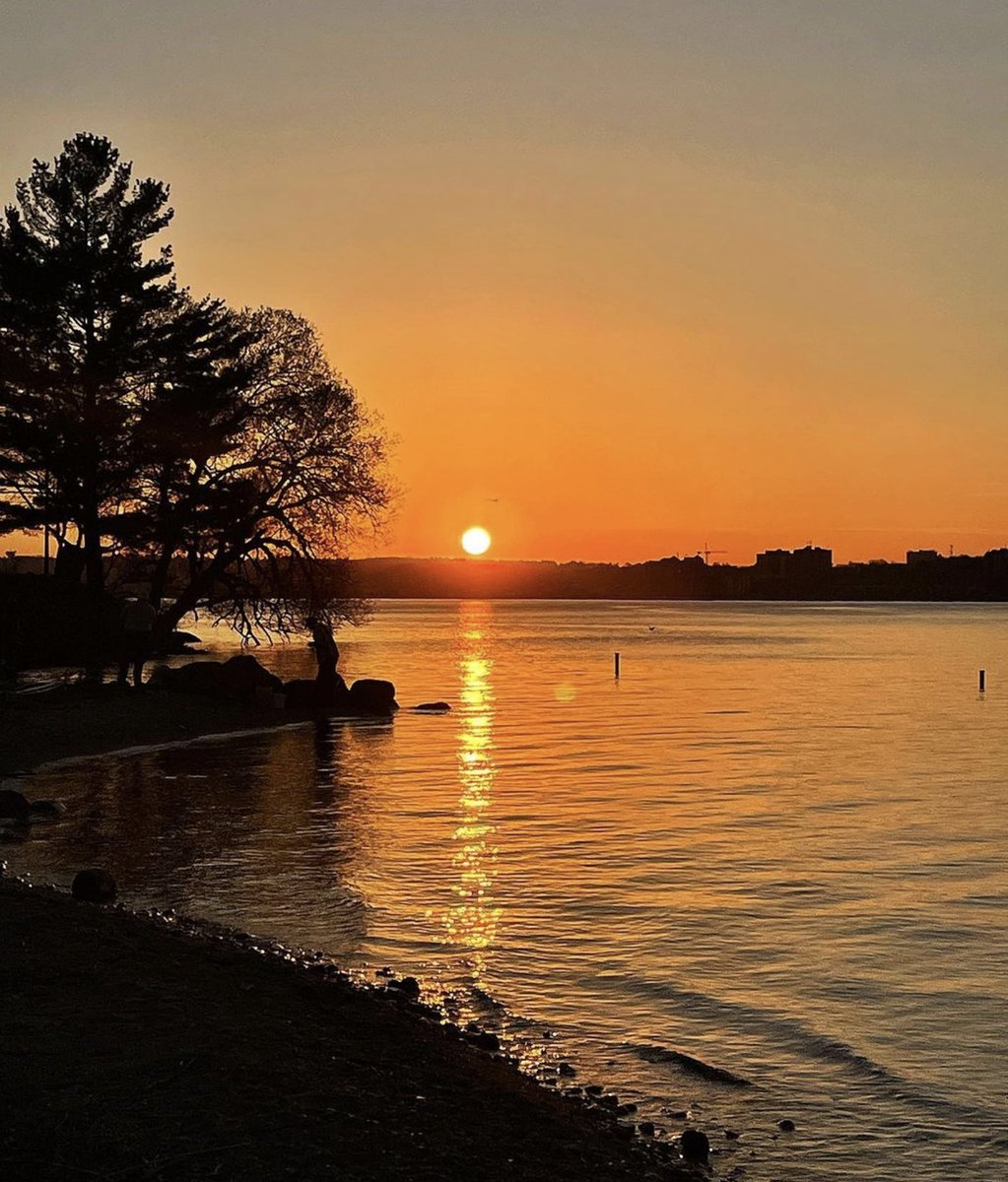 MasonHomes's tweet photo. Life in Barrie includes enjoying stunning sunsets on Kempenfelt Bay.
https://t.co/gAWXwE6GvG
📷 Instagram @chasco6900
#simcoecountyliving #cityofbarrie #four10yonge #newhomesbarrie #four10yonge https://t.co/0EiUOGIZp0