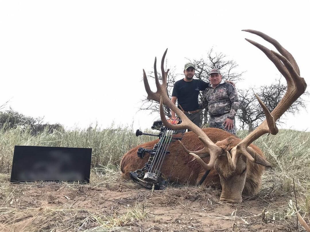 PETA_Latino's tweet photo. Mientras lees esto, cazadores especistas y presuntuosos están volando a #Argentina en jets privados para poder matar sin piedad a pumas, carpinchos, búfalos y más. https://t.co/IgbjwdKcNK