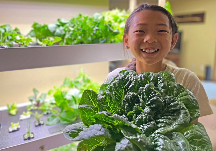 MacKidEvergreen's tweet photo. My husband bought me the @RiseGardens for Christmas and since the second month of growing, I have harvested enough lettuce and delicious vegetables to enjoy with EVERY dinner, as well as many flavorful salads for lunch. I have been hooked ever since! #ad #MacKID https://t.co/jXzdpMBbxk