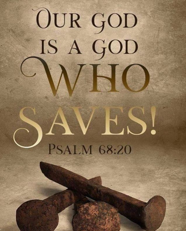ministerricky1's tweet photo. @EllahieCooking Thank you kindly dear sister🙌🏼
May God #BlessAndKeep, #DeliverAndProtect, #StrengthenAndSupport, #HealAndRestore, #IncreaseFaithAndPeace for you & yours, & all the family of Jesus Christ too🙏🏼
May He make us #MightyFighters💪🏼
In #JesusChrist's AllPowerful Name
#EuropaAfricaUS https://t.co/EdcYDqkJxV