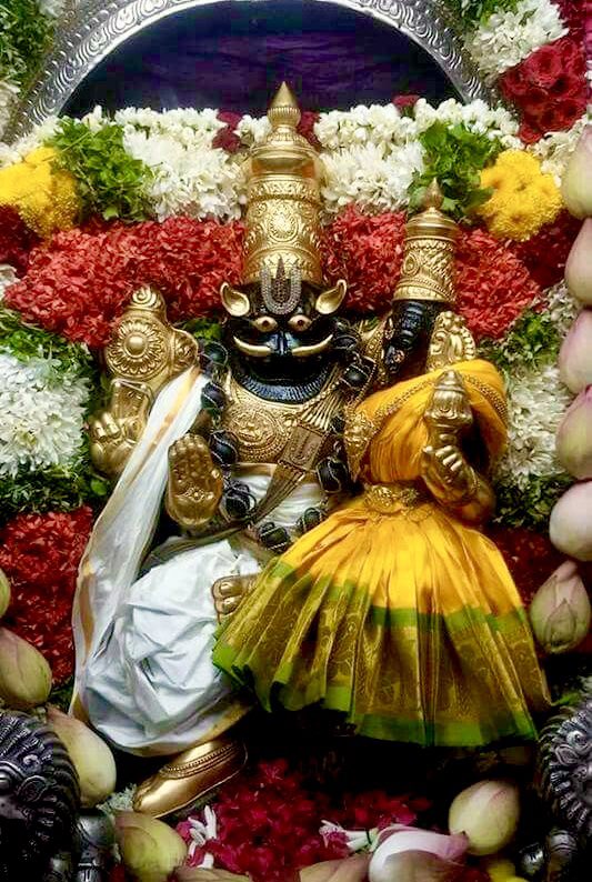 Jaya_Upadhyaya on Twitter: Jaya_Upadhyaya on Twitter: