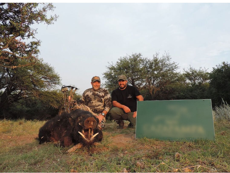 PETA_Latino's tweet photo. Muchos cazadores tienen mala puntería: no matan rápidamente, por lo que los animales sufren lentamente antes de morir. Otros que están heridos pero escapan, a menudo mueren de hambre. https://t.co/uh6mFvyDR5