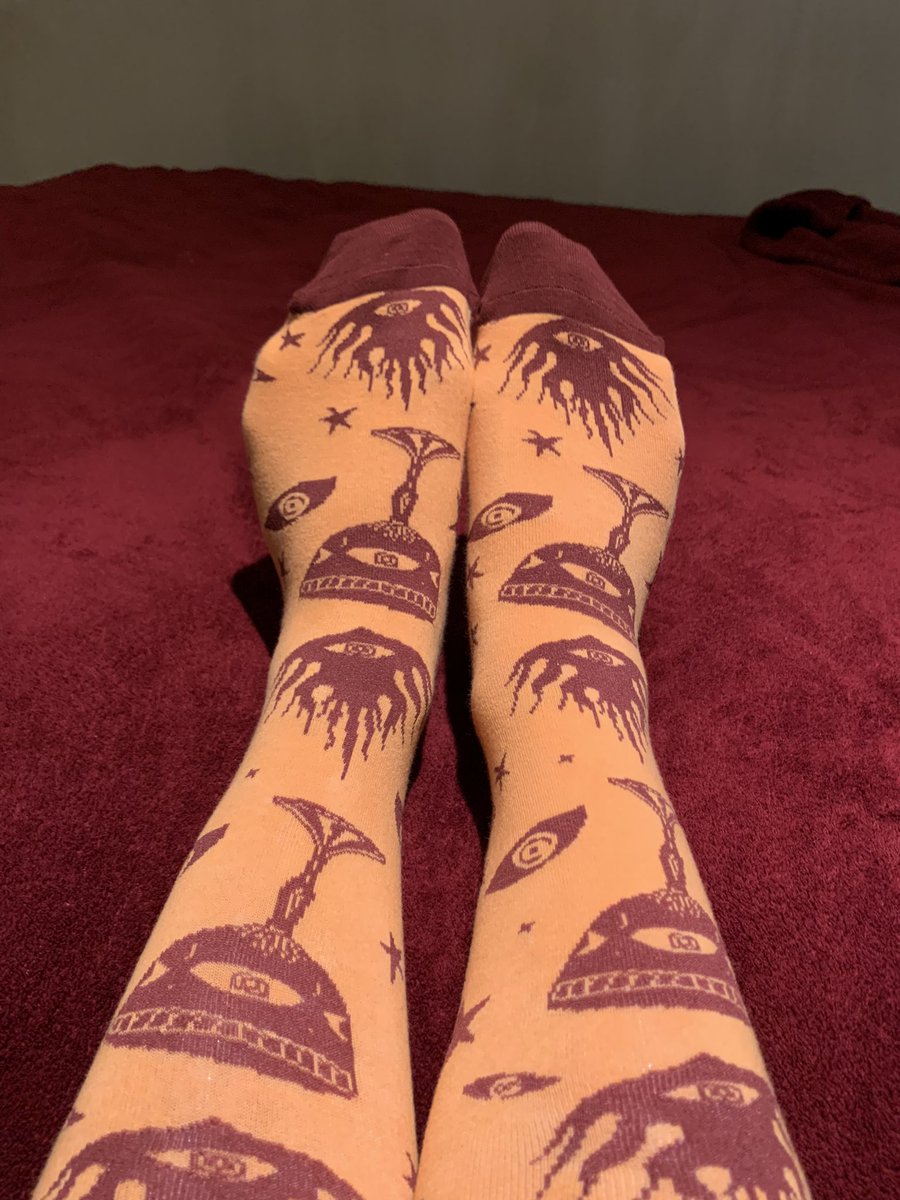 LewisZebra's tweet image. #AwesomeSocksClub 😌✨