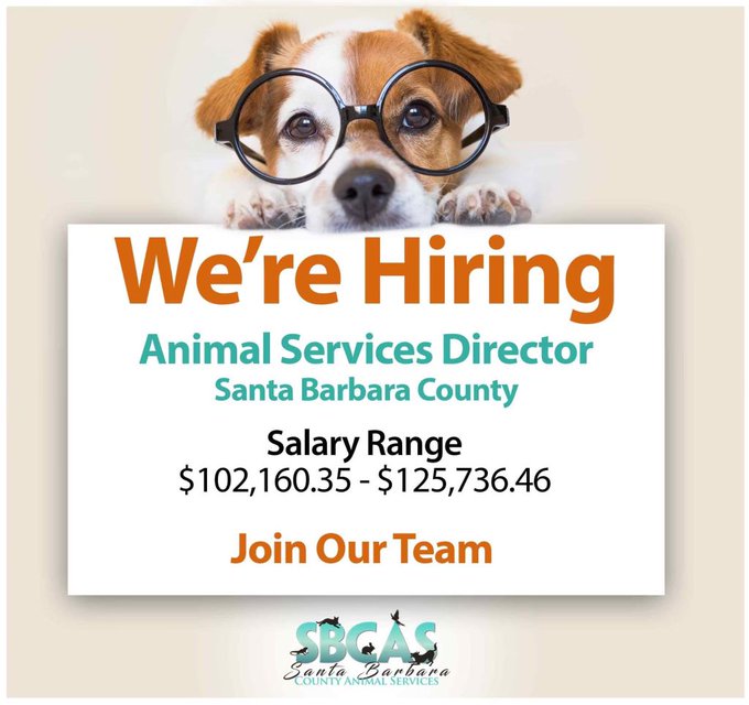 slo animal services licensing
