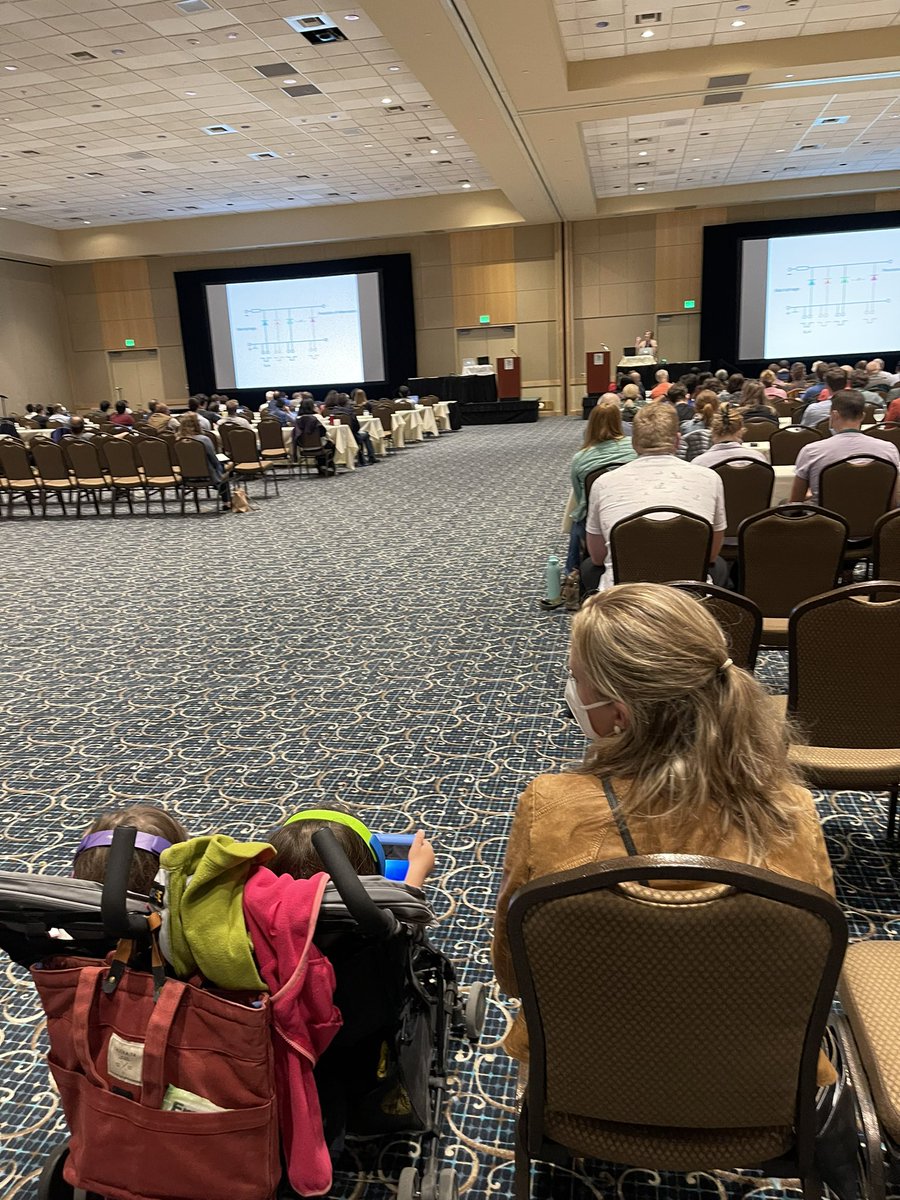 rkramann's tweet photo. Our kids joining @KeystoneSymp session to cheer on @KonradHoeft #KSTissueRepair @rschneiderlab https://t.co/CXDgTWYohz