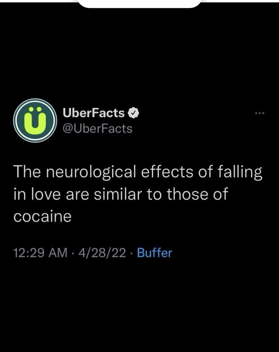 ROMINA COHN (@rominacohn) on Twitter photo 