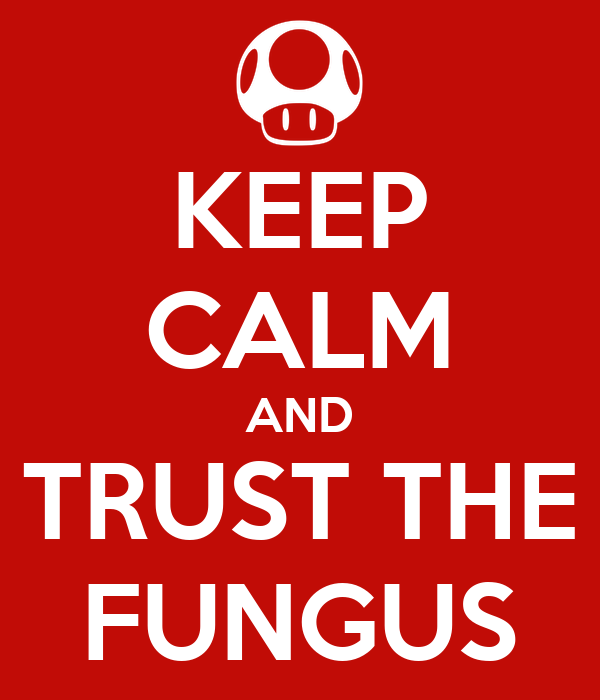 JoriusD's tweet photo. @smbmovie I made this Poster for my love for the Super Mario Bros 1993 Movie. #TrustTheFungus https://t.co/Pvr9vo49gt
