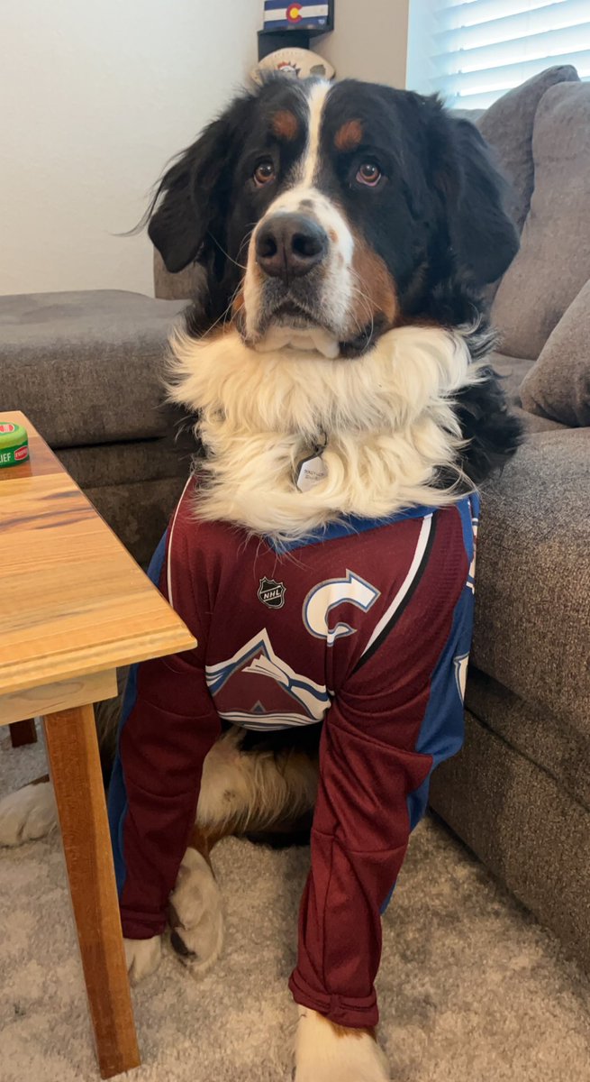 kaceymichele's tweet photo. #goavsgo from Landesdog https://t.co/HYbjEGVQR9