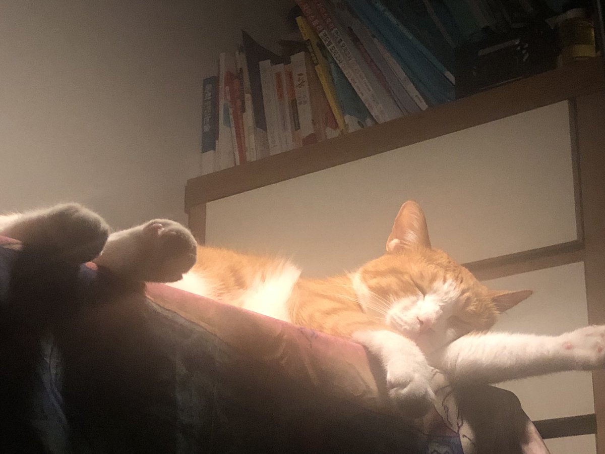 볼희의 하루(볼셰비키 혁명의 희망) (@lovethemoment30) on Twitter photo 