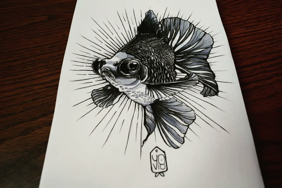 _yovio's tweet photo. ______________________________

#DrawAnimals #DrawingAnimals #FishDrawing #FishIllustration #Goldfish #GoldfishLovers #OriginalDrawing #PenDrawings https://t.co/EqBtWDk75O
