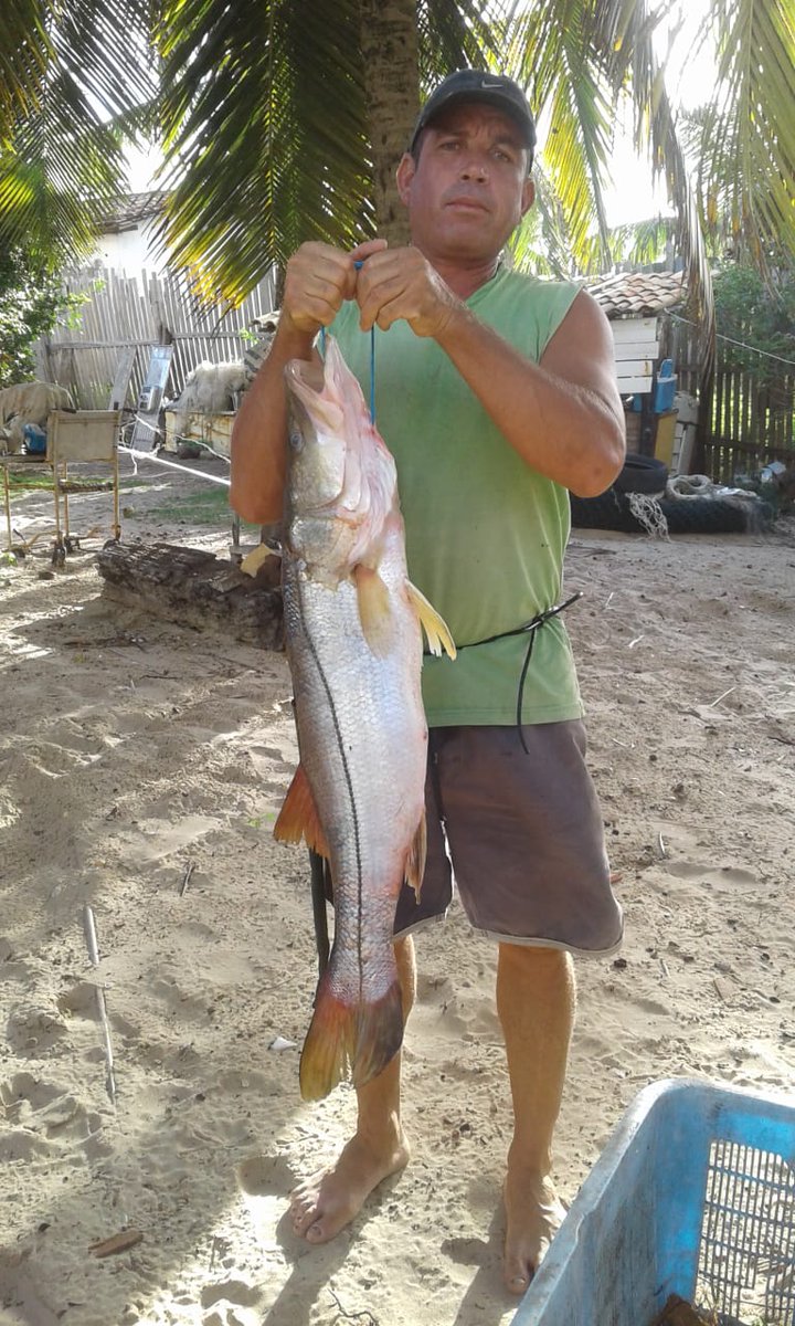 RenckVitor's tweet photo. Another paper from our project in the Itapicuru Estuary is now out in Human Ecology. This work would not have been possible without the engagement of the fishers from Siribinha, nor without the collaboration with El-Hani C, @DavidLudwigWUR and Bollettin P https://t.co/rNsMjKJ4Zp https://t.co/jdBCNm0RUG