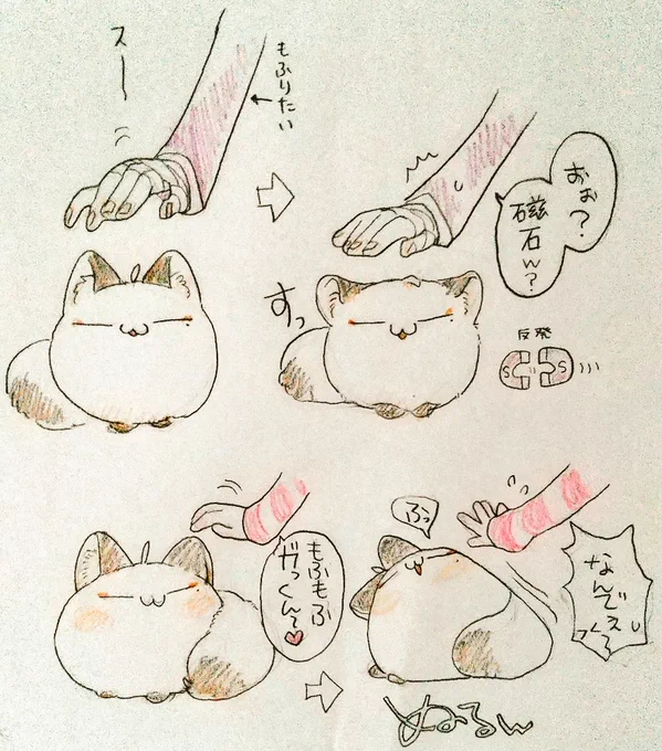#ふしみボール 