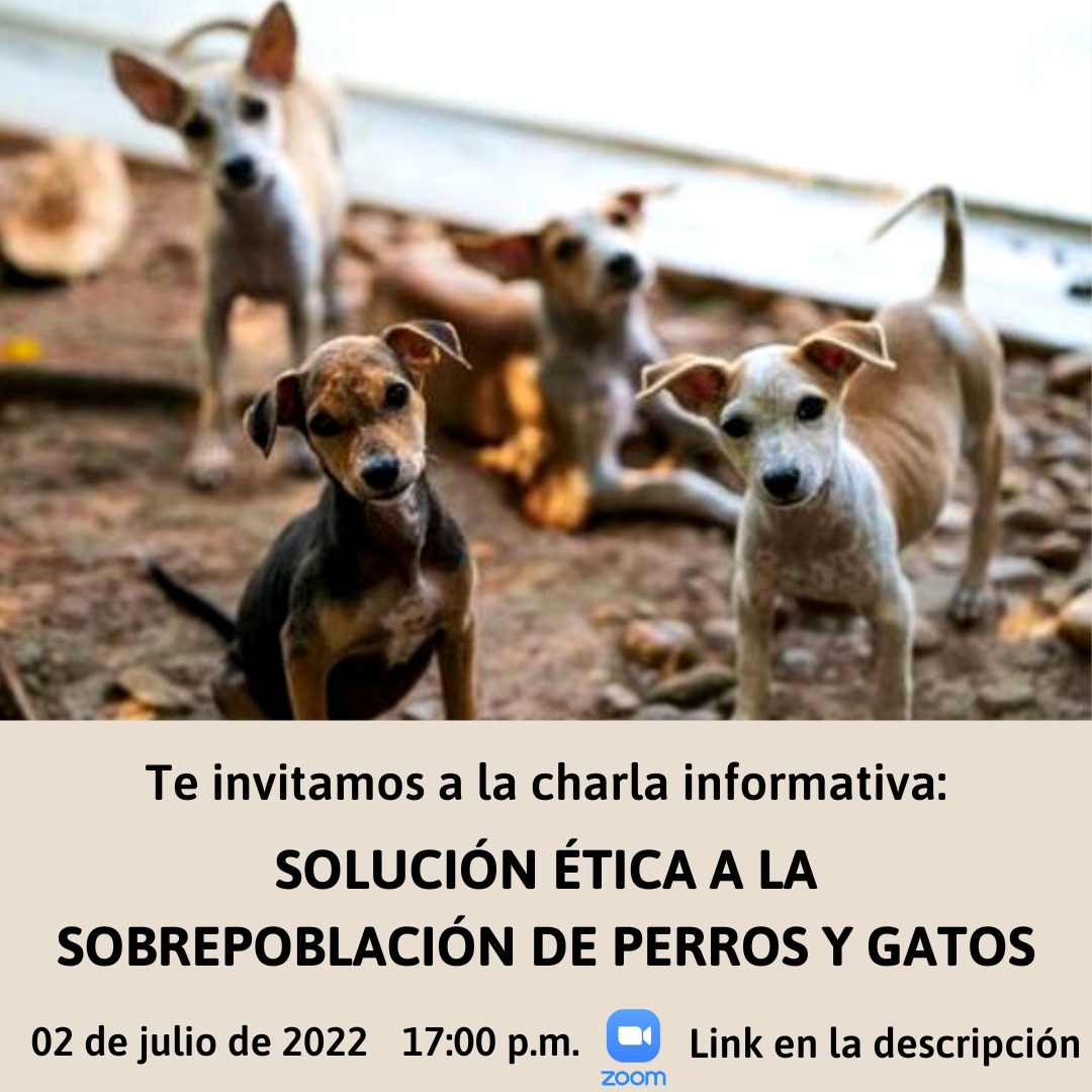 LiliAmados's tweet photo. 📩 Charla Informativa de la Red de Políticas Públicas "Solución a la Sobrepoblación de Perros y Gatos" Sábado 2 julio a las 17 hs.

📝 Exclusivo voluntarios/proteccionistas/vecinos.

👉 Link de Ingreso:
https://t.co/dsIq4QbAYx
ID de reunión: 981 8560 2681
Código de acceso: 390271 https://t.co/6gXAtXBQTx