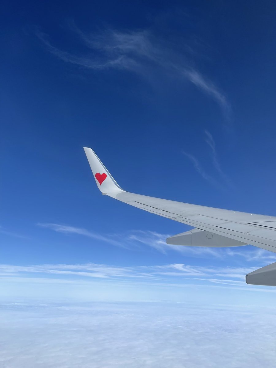 Photo_Okinawa_'s tweet photo. https://t.co/V09Z5no7aI