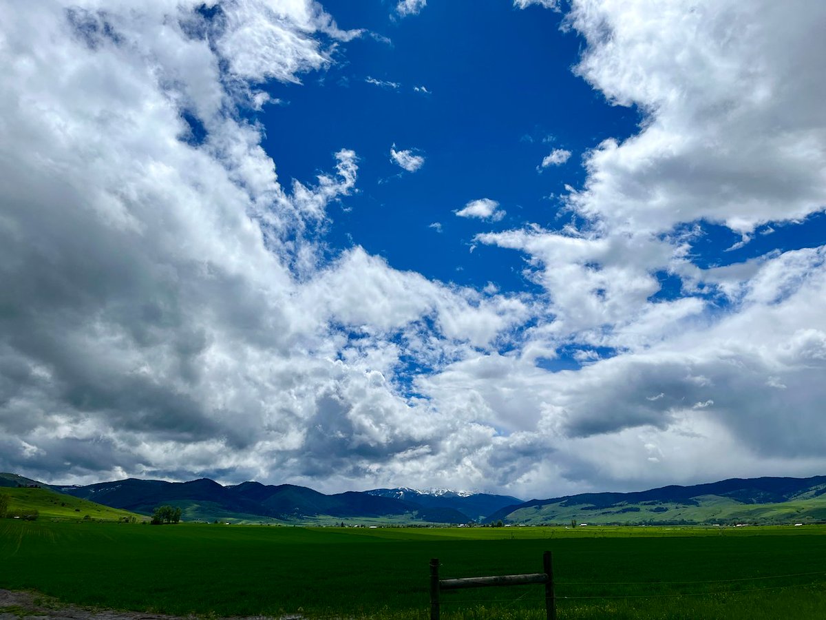 JasonKechely's tweet photo. So yeah, while it was flooding elsewhere...
#ValleyOfTheFlowers #MTSpring https://t.co/JYfBFWf6MY