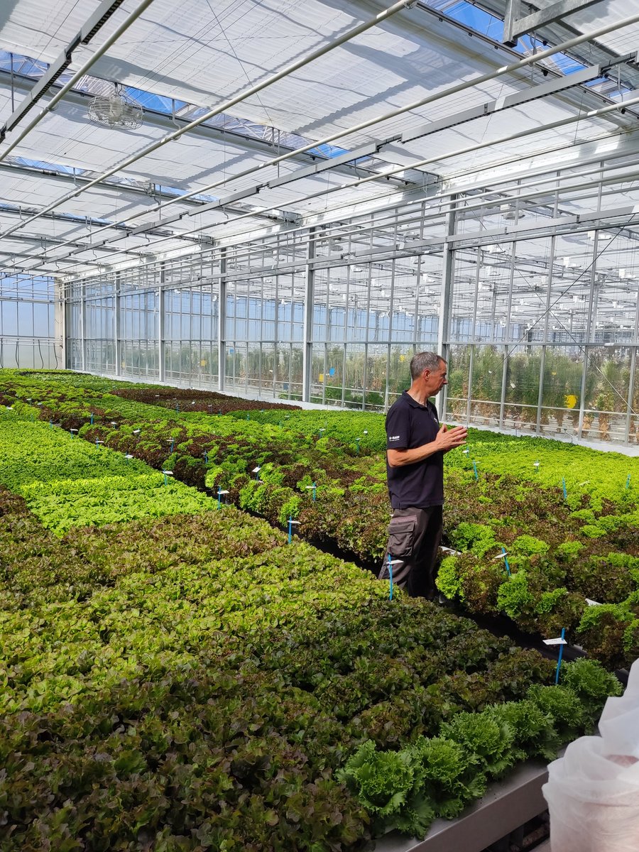 A day full of knowledge &amp; experience exchange at Green Expert Platform #GEP powered by <a href="/Grodan/">Grodan</a> !