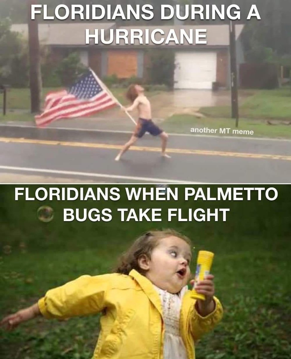 Graham_Rivers1's tweet image. Can confirm. I&apos;m totally bring it on the with the #hurricane and alcoholic beverage firmly in hand. But runs and screams while ineffectively mass spraying #bugkiller behind me at #palmettobugs.

#TrueFloridian
#BogTheFrogMaster