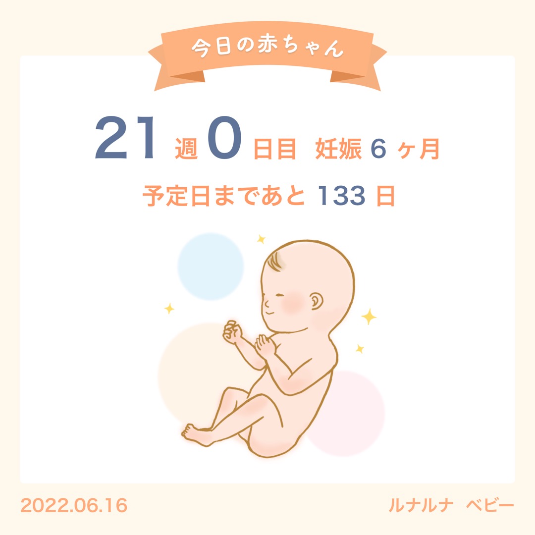 妊娠6ヶ月 Twitter Search Twitter 妊娠6ヶ月 Twitter Search Twitter