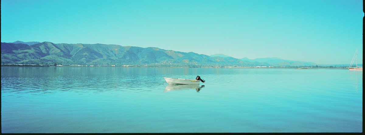 theharveydean's tweet photo. Photos I made with a panoramic film camera. https://t.co/5bLy8LgBII