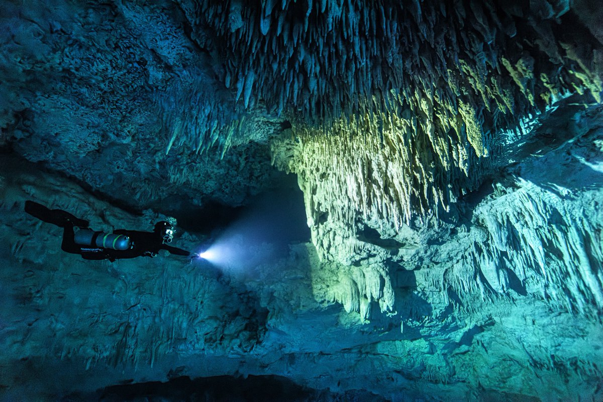 wakeupsitt tweet media