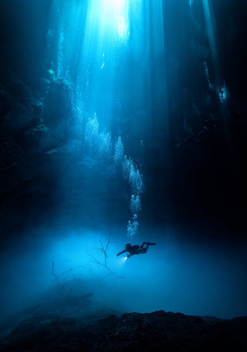 wakeupsitt tweet media