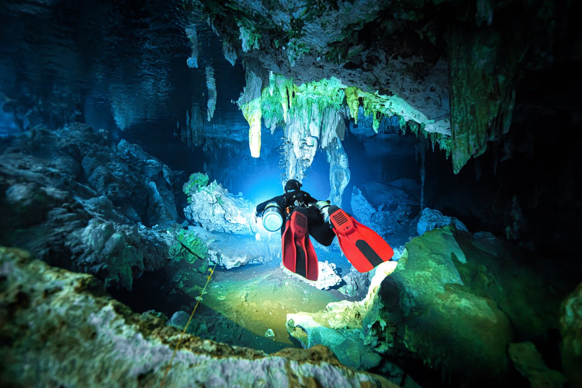 wakeupsitt tweet media