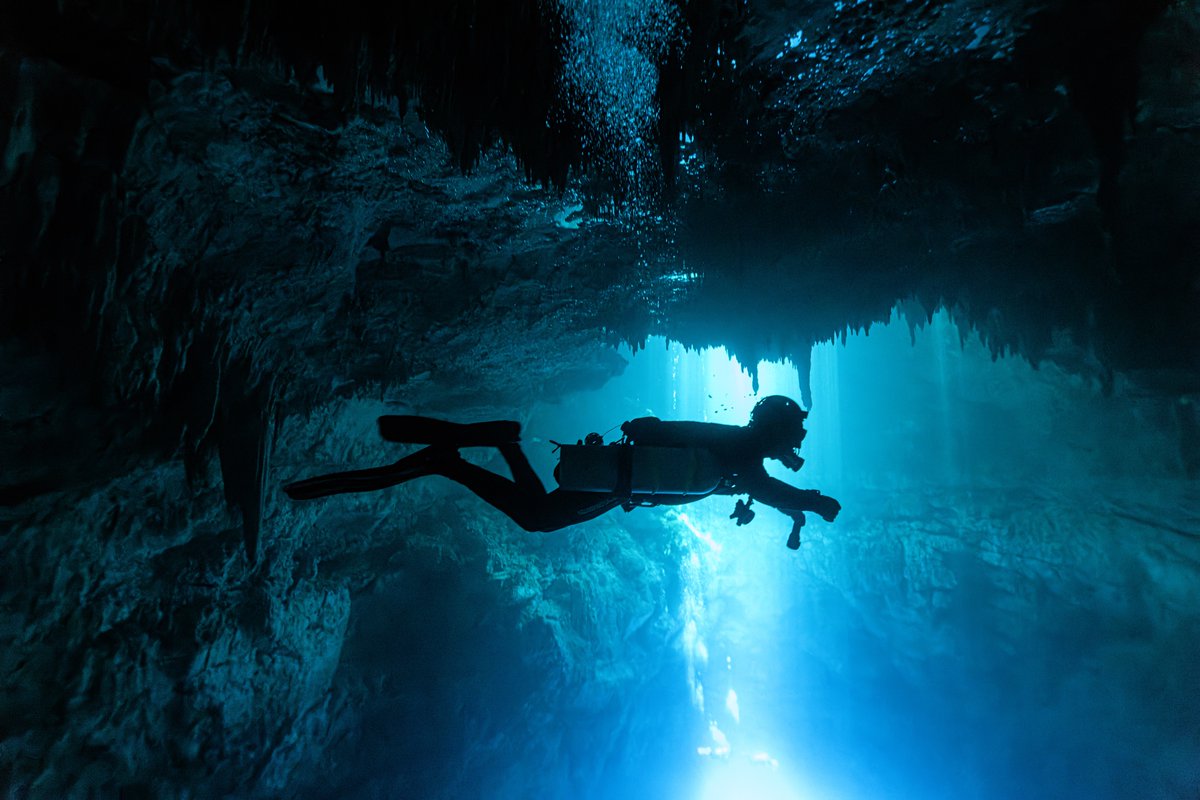 wakeupsitt tweet media