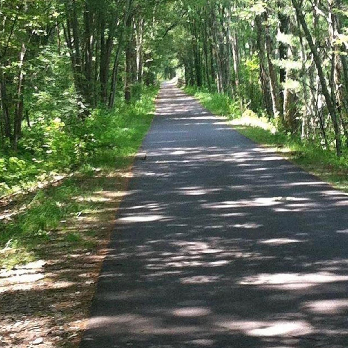 BMHS Girls Soccer tweet media